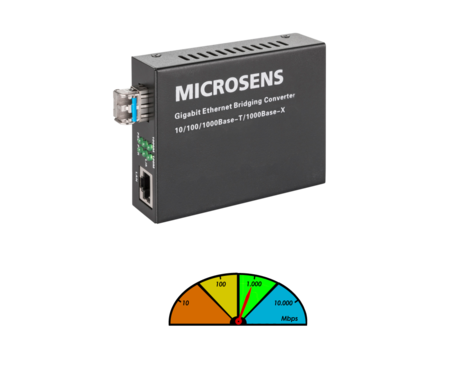 1000t